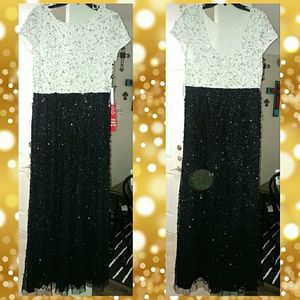 Adrianna Papell Evening Gown